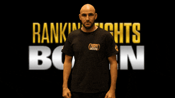RankingFightsBoxen boxen halle rankingfightsboxen boxenhalle GIF