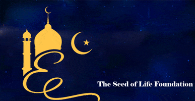 Holiday Plant GIF by The Seed of Life Foundation