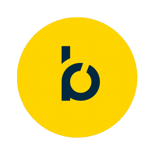 Bloomreach Sticker