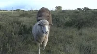 baby friend GIF
