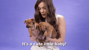 Hailee Steinfeld Puppies GIF by BuzzFeed