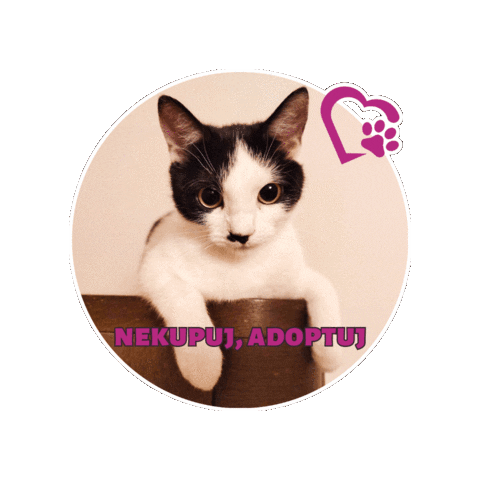 Fousky z.s. Sticker