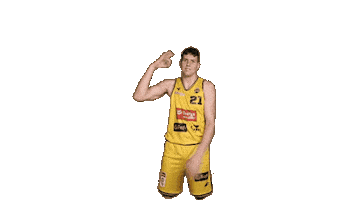Celebration Basketball Sticker by Trefl Sopot