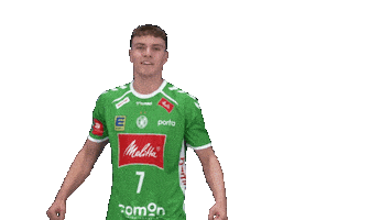 Handball Franz Sticker by GWD Minden Handball-Bundesliga GmbH & Co.KG