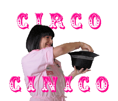Circocinico Sticker by Estetista Cinica