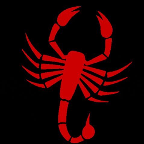 Scorpion Dance Team GIF