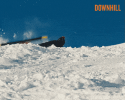 Downhill GIF by Fox Searchlight