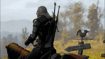 witcher 3 GIF by The Witcher