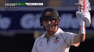 David Warner Test GIF by cricketcomau