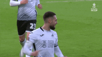 Happy Fa Cup GIF by Emirates FA Cup