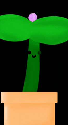 Love GIF