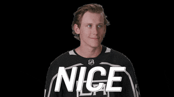 Hockey Nhl GIF by LA Kings