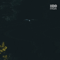Attack Peacemaker GIF by HBO Max