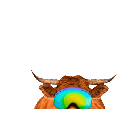 PASSE MONTAGNE Sticker