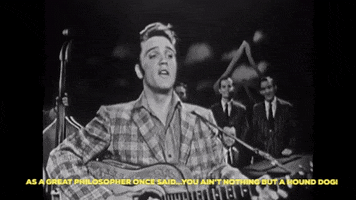 Elvis GIF by The Ed Sullivan Show