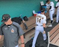 Happy Bee Day Gifs Get The Best Gif On Giphy Happy Bee Day Gifs Get The Best Gif On Giphy
