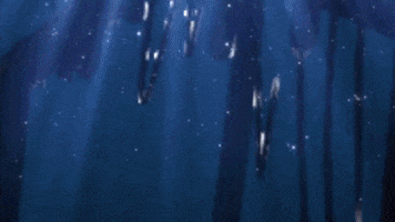 Eternal Blitz GIF