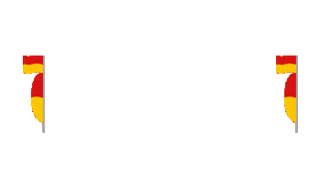 Summer Swimming Sticker by Surf Life Saving Queensland