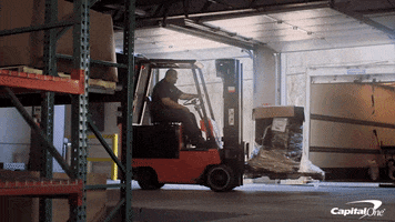 fun friday GIF by Capital One
