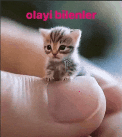 Olay GIF