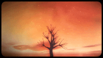 Joshua Tree Summer GIF by Thomas Rhett