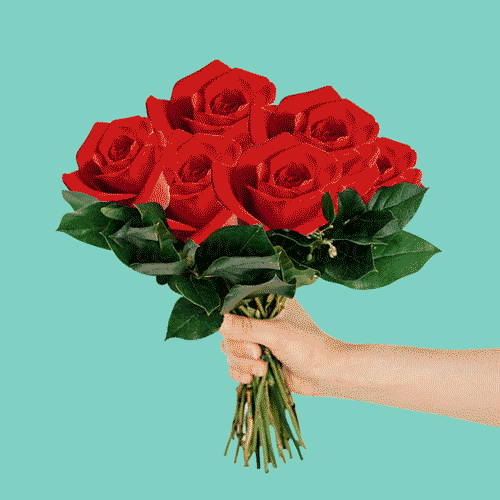 sr_taquito pizza flowers roses bouquet GIF
