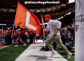 Clemson Tigers L GIF