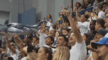 NSU Sharks GIF