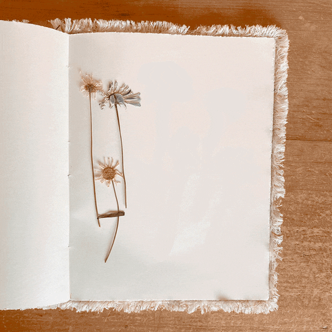 Arazálélé GIF