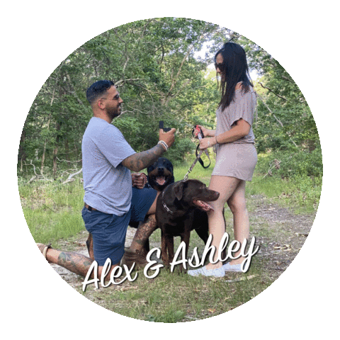 Stacymcfadden Sticker by Stacy McFadden Signature Premier