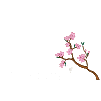 Cherry Blossom Travel Sticker by KTO Indonesia