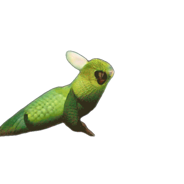 Animated Sticker