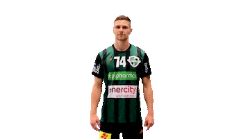 Sport Handball Sticker by DIE RECKEN