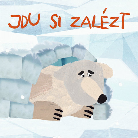 Polar Bear Snow GIF by Mlsné medvědí příběhy