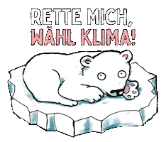 Fridaysforfuture Klimaschutz Sticker by Campact e.V.