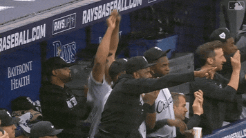 Jumping White Sox GIF by Chicago White Sox