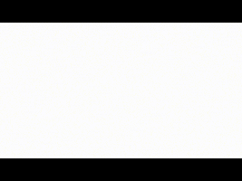 Bazo GIF
