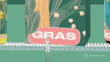 Animation Gras GIF by The Explainer Studio