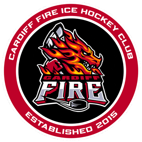 Fire Hockey Sticker by Cardiff Fire