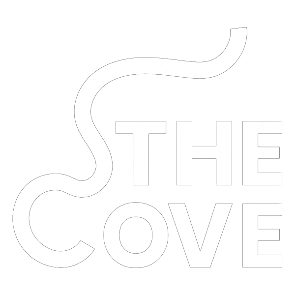 The Cove Party Sticker by Snowboxx Festival