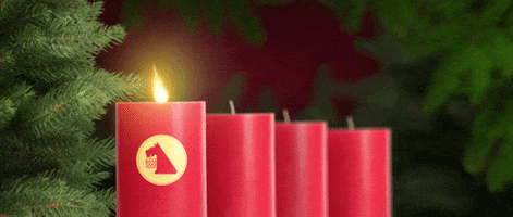 Christmas Advent GIF by Nettodeutschland