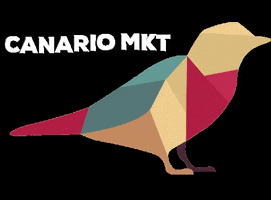 Mkt Canario GIF by Canário Marketing
