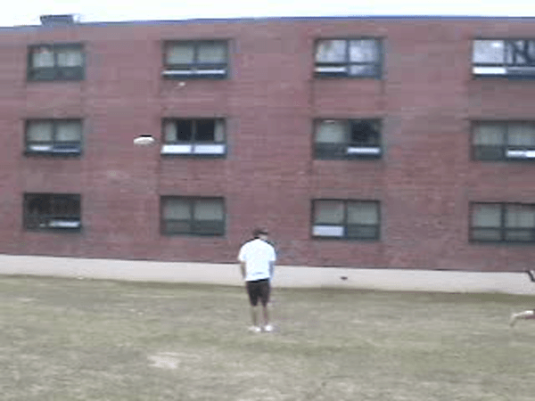 Dive Frisbee GIF by PureADK