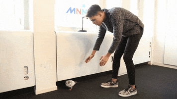 catch pigeon GIF by MNM