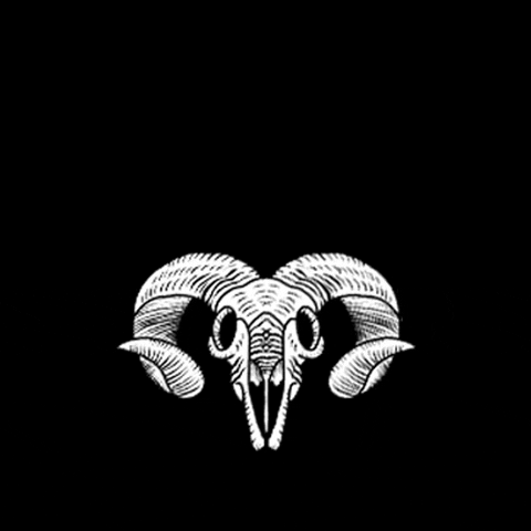 Tattd GIF