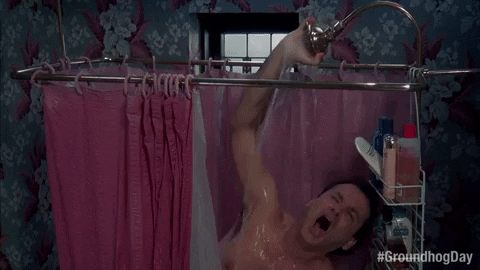 Bill Murray Shower GIF by Groundhog Day - Find & Share on GIPHY