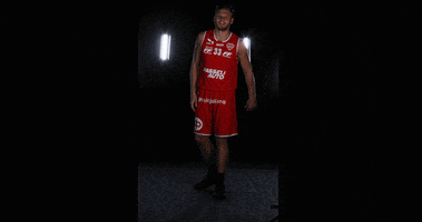 Vilpas Vikings GIF