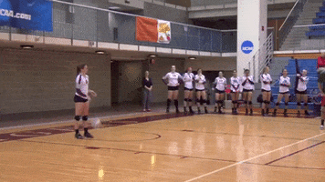College Volleyball GIF by Trinity University