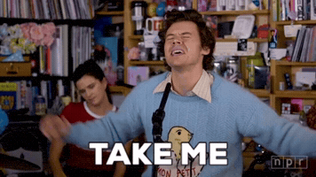 Harry Styles GIF