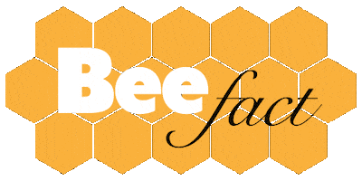 Bee Sticker